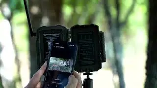 Stealth Cam Spectre 4K