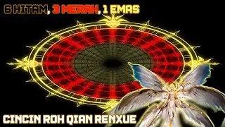 Cincin Roh Qian Renxue Level 100