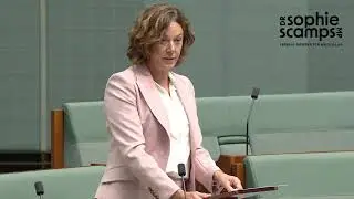 Establishing a National Firearms Safety Council | Amendment to the Gun Laws | 20 January, 2026