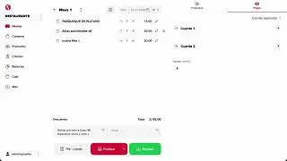 Separate checks at the restaurant