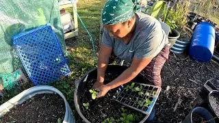 BONUS GARDEN FOOTAGE