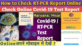 How to check rt pcr test report online | check online Covid 19 test report Haryana,Hisar🔥rt pcr rep