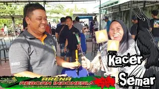 AKHIRNYA KACER SEMAR DAPAT KONSER MERAH DI LAPANGAN ARENA  REBORN INDONESIA