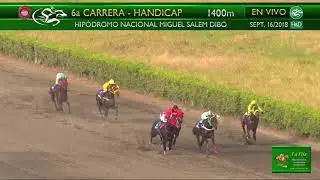 2018-281 Alcindoro (USA) sept. 16, 2018 - Hip&oacute;dromo Miguel Salem Dibo - Revista La Fija