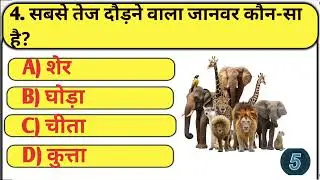 Gk questions and answers in hindi #gk #shorts #trending 