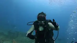 Buck Island Ship Wreck Cove