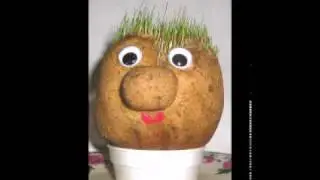Mr Grasshead.avi