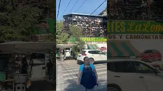После этой сьемки POLIC&Iacute;A провела полный обыск