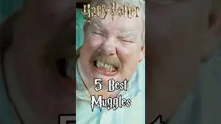 Best Muggles in Harry Potter Films 😁 #harrypotter #hogwarts #potterhead #shorts