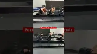 Pussycat Dolls rehearsing for X Factor reunion performance with Carmit Ashley Kimberly Jess & Nic