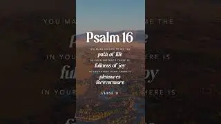 Daily Bible | Daily Bible Verse | Scripture | Life Media Networks | #motivation