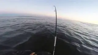 🔥 PICADA EN DIRECTO&iexcl;&iexcl;&iexcl;