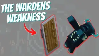 Mojang  HATES ME! Beat THE WARDEN Sonic BOOM Easy! 22W16A #Shorts
