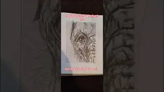 Elephant eye. #drawing #art #howtodraw #fun #practice