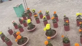 আজ আমাদের এখানে একেবারেই রোদ আসেনি