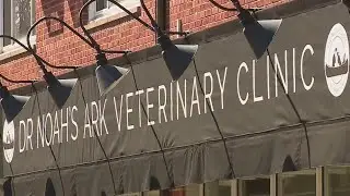 Shorewood veterinarian facing sexual harassment accusations | FOX6 News Milwaukee