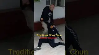 Traditional Wing Chun- 2025-Master Lazo Naumov #wingchun #wingchunkungfu #kungfu #sports