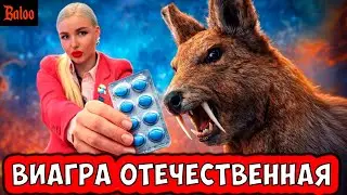 СОЛОВЬИНЫЙ ПОМЕТ№407/ ВИАГРА ОТЕЧЕСТВЕННАЯ; ЧЛЕН ИЗБИРКОМА ЛДПР; ДМИТРИЕВ ПЕРЕЖИВАЕТ, НО ЭТО ДРУГОЕ