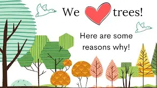 We love trees!  And here are some reasons why