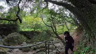 a COOL PERSON showed me a secret waterfall !! 360/VR