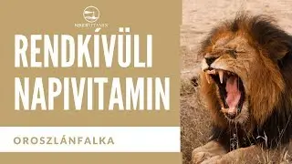 🥇 Siker titka: RENDKIV&Uuml;LI NAPIVITAMIN