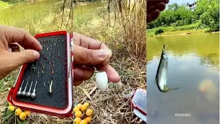 Fishing: Outdoor Freshwater Fishing - June Fishing Vlog 7