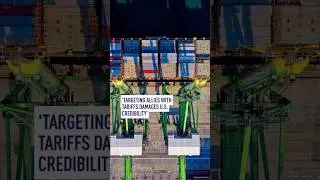 'Targeting allies with tariffs damages U.S. credibility'