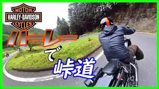 古いハーレー「エボソフテイル」でも峠❨ワインディング❩は楽しめるという話【秩父·山伏峠】