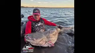 Bellyboat vissen op meerval in Nederland. #bigcathuntereric #fishing #art #nature #silure