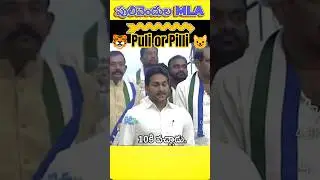 జగన్ & కో అసెంబ్లీకి హాజరు, 11 నిమిషాలలో పరారు #ysjagan #revanthreddy #tdp #cbn #naralokesh #YSRCP