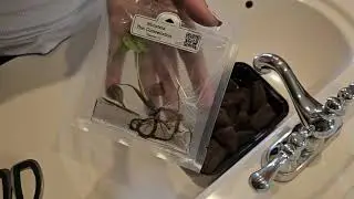 Как акклиматизировать культуру тканей в питомнике Orange Lake Nursery (Часть 1)