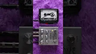 Tape Loop and Meris Hedra