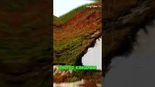Пять заброшенных военных баз с мрачными историями #короткометражки
