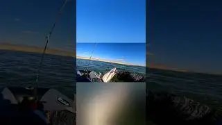 Рыбалка в ШТОРМ #fishing #рекомендации #рыбалка #шторм