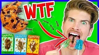 TASTING WEIRD INSECT SNACKS! | Taste Test