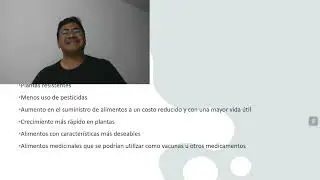 Alimentos transgenicos