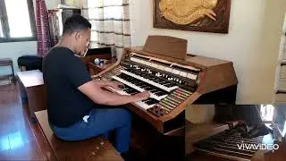 Concerto pour un été - Alain Patrick