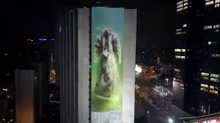 Salt Bride on the Ayalon Highway, 2017