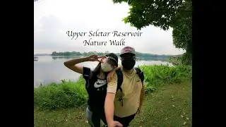 About 8KM walk from Lower Seletar Reservoir | Upper Seletar Reservoir | Famous Tree in Singapore