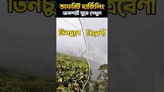 Tinchuley Darjeeling 😍 | Lovers Meet View Point | Offbeat Places Near Darjeeling  #shorts