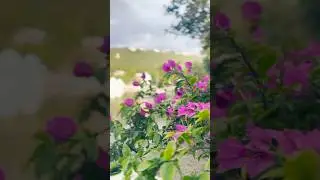 Udaipur travel series / udaipur itinerary &hellip;.#udaipurtourguide #travelvlog #traveller