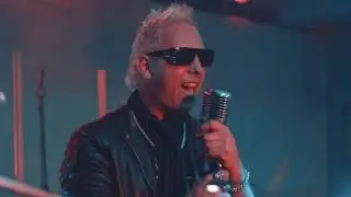 STONE DOG Viviendo al limite