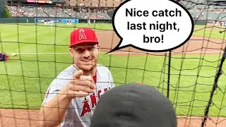 I impressed MIKE TROUT by catching a home run!