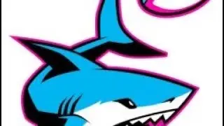 Miami Sharks 2025 Season Preview!
