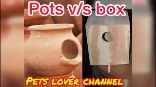 Breeding box vs pots for budgies which is best for you ?