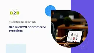 Key Differences Between B2B and B2C eCommerce Websites
