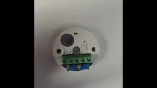 #INSTRUMENTS#TEMPERATURE TRANSMITTER#RADIX#TX1HM-RTD/4-20MA  0-300.C#2100111-V6#PRODUCT IMAGE