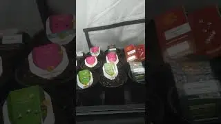 Autoflower Vs Photos Bio bizz Organic Barney's and R.Q.S