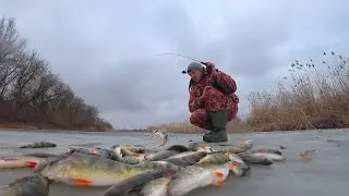 ВО ПОПАЛ! РЫБА БРОСАЕТСЯ. ПЕРВЫЙ ЛЁД В АСТРАХАНИ. Зимняя рыбалка со льда на окуня и красноперку.