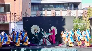 【4K】立教大学よさこい連 百合文殊